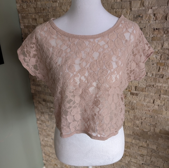 Forever 21 Tops - Lace Feminine Blush Pink Sheer Crop Top Coquette Fairy Romantic Kawaii Sz Small